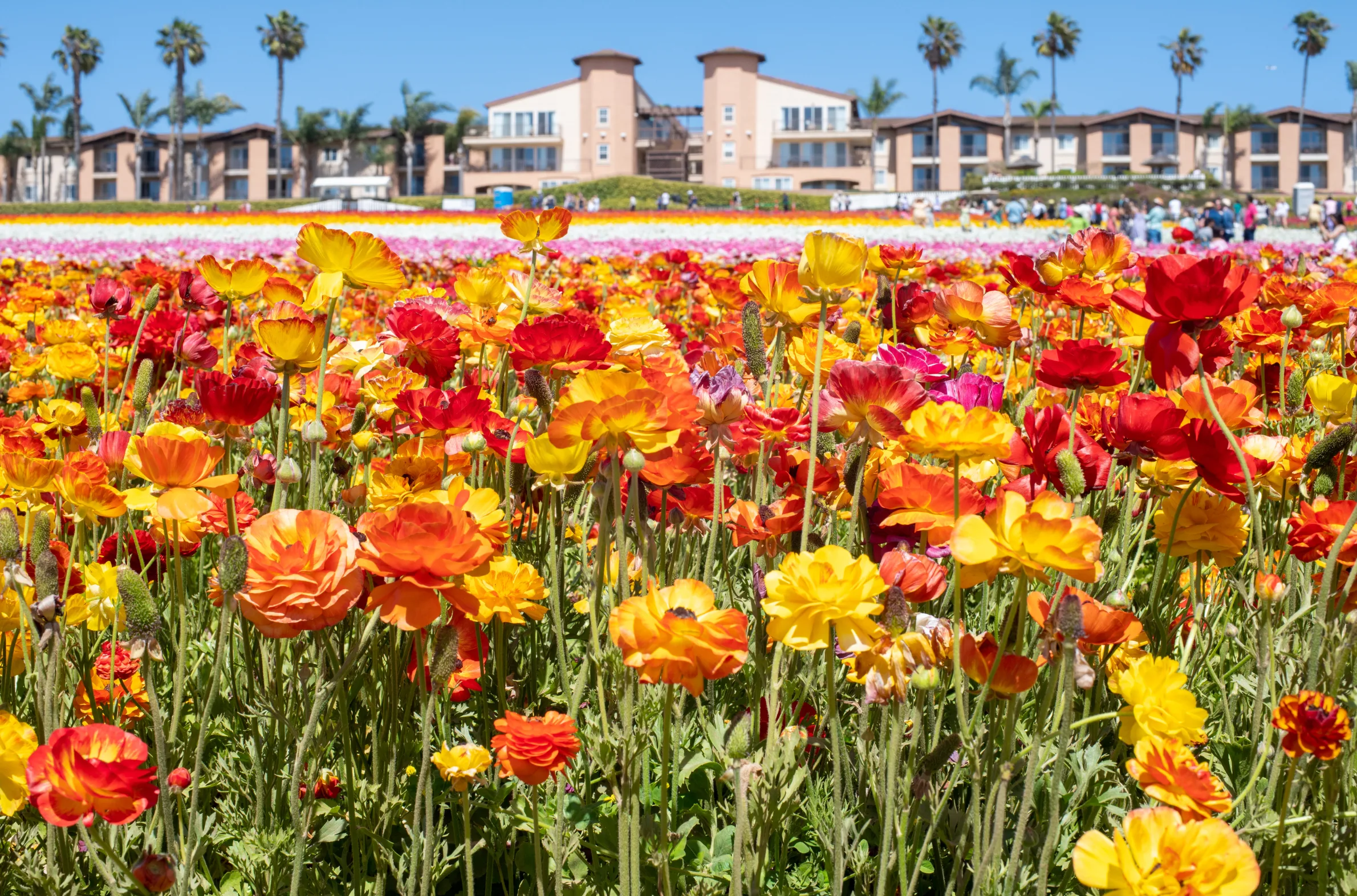 Carlsbad, San Diego
